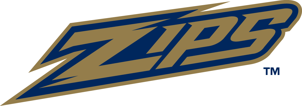 Akron Zips 2002-Pres Wordmark Logo v2 iron on transfers for T-shirts